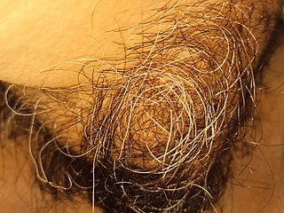 मेरी पत्नी की बालों वाली चूत और क्लिटोरिस